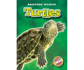 Image de couverture de Turtles
