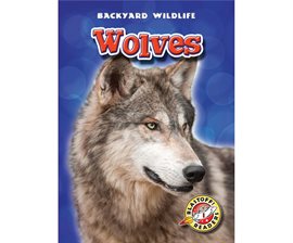 Umschlagbild für Wolves