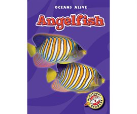 Cover image for Angelfish