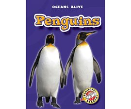 penguins by anne schreiber