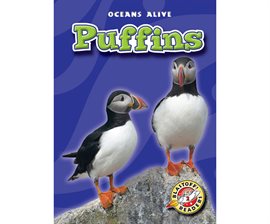 Cover image for Puffins