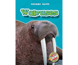 Umschlagbild für Walruses