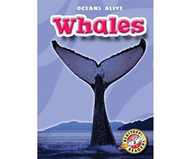 Cover image for Whales