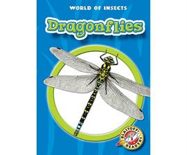 Imagen de portada para Dragonflies