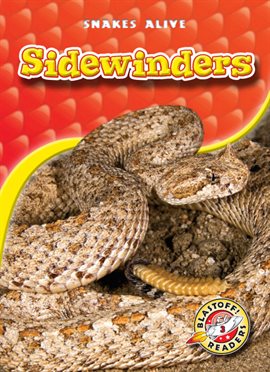 Cover image for Sidewinders