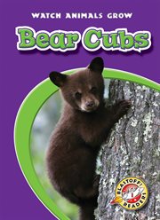 Bear cubs cover image