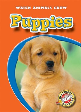 Umschlagbild für Puppies