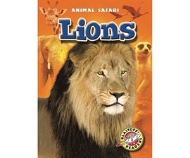 Cover image for Lions