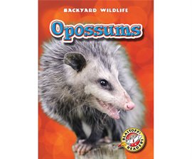 Cover image for Opossums