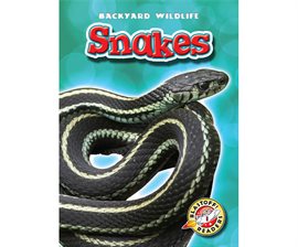 Cover image for Snakes