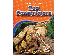 Cover image for Boa Constrictors