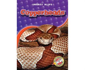 Cover image for Copperheads