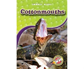 Image de couverture de Cottonmouths