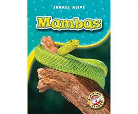 Cover image for Mambas