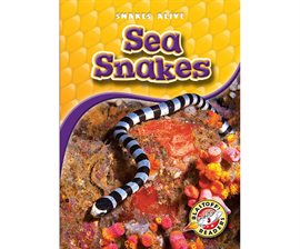 Image de couverture de Sea Snakes