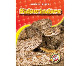 Cover image for Sidewinders