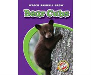 Bear cubs cover image