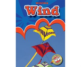 Cover image for Wind