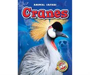 Cranes cover image
