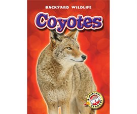 Imagen de portada para Coyotes