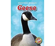 Geese cover image
