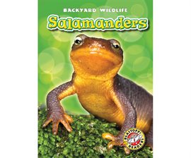 Cover image for Salamanders