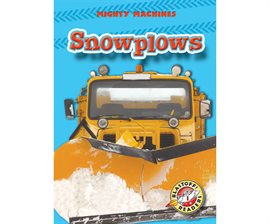 Cover image for Snowplows