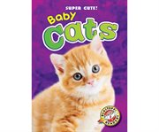 Baby cats cover image