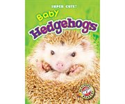 Baby hedgehogs cover image