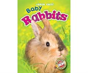 Baby rabbits cover image