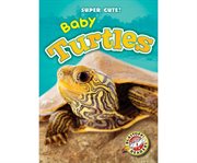 Baby turtles cover image