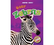 Baby zebras cover image