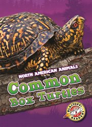 Common box turtles cover image