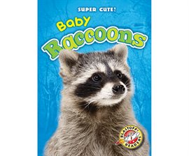 Cover image for Baby Raccoons