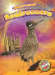 Roadrunners cover image