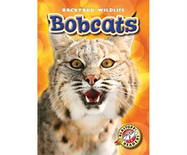 Cover image for Bobcats