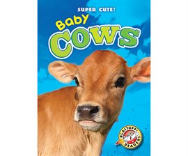Cover image for Baby Cows