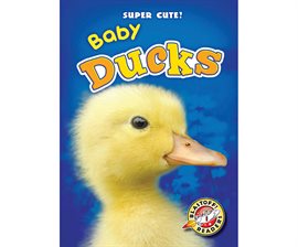 Cover image for Baby Ducks