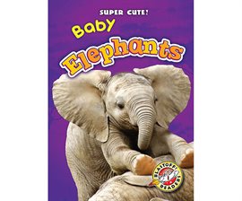 Image de couverture de Baby Elephants