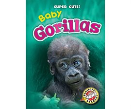 Image de couverture de Baby Gorillas