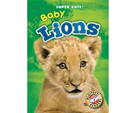 Image de couverture de Baby Lions