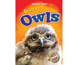 Image de couverture de Baby Owls