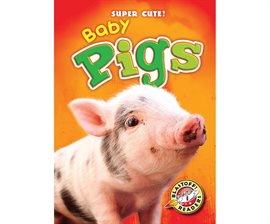 Image de couverture de Baby Pigs