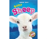 Baby sheep cover image