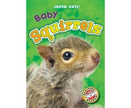 Cover image for Baby Squirrels
