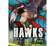 Hawks : birds of prey cover image