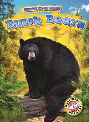 Black bears cover image