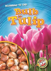 Bulb to tulip cover image