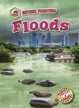 Cover image for Floods