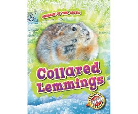 Cover image for Collared Lemmings
